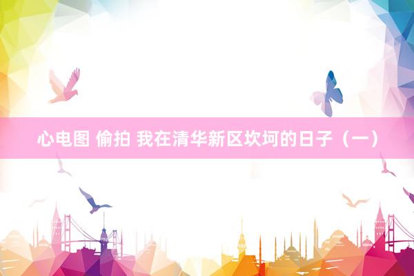 心电图 偷拍 我在清华新区坎坷的日子（一）