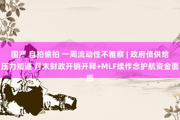 国产 自拍偷拍 一周流动性不雅察 | 政府债供给压力知道 月末财政开销开释+MLF续作念护航资金面