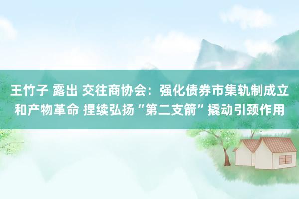 王竹子 露出 交往商协会：强化债券市集轨制成立和产物革命 捏续弘扬“第二支箭”撬动引颈作用