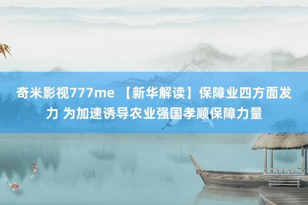 奇米影视777me 【新华解读】保障业四方面发力 为加速诱导农业强国孝顺保障力量